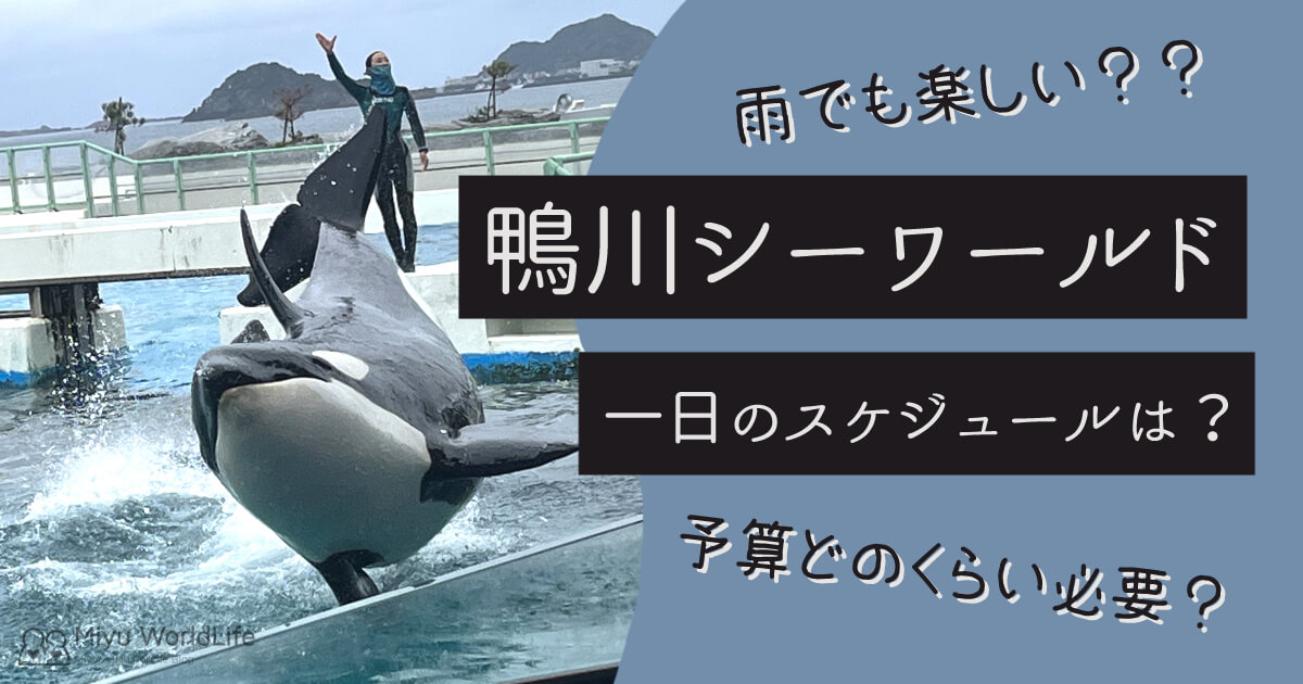 必見！】鴨川シーワールド一日のスケジュールは？予算は？雨でも楽しめる？【感想レビュー】 | Miyu WorldLife